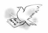 9条と平和の鳩
